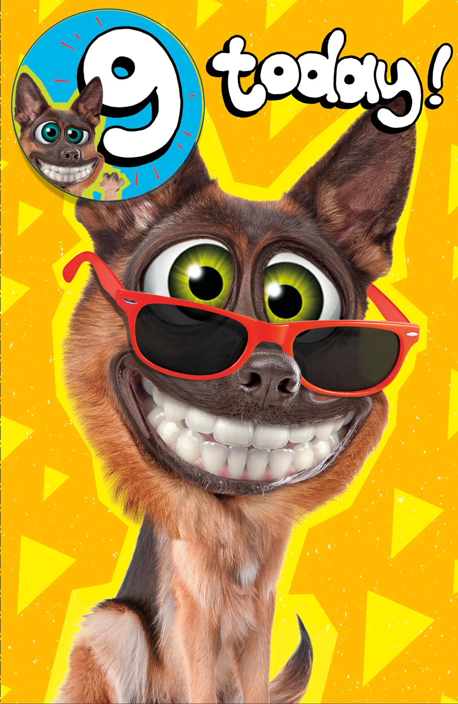 Thumbnail 1