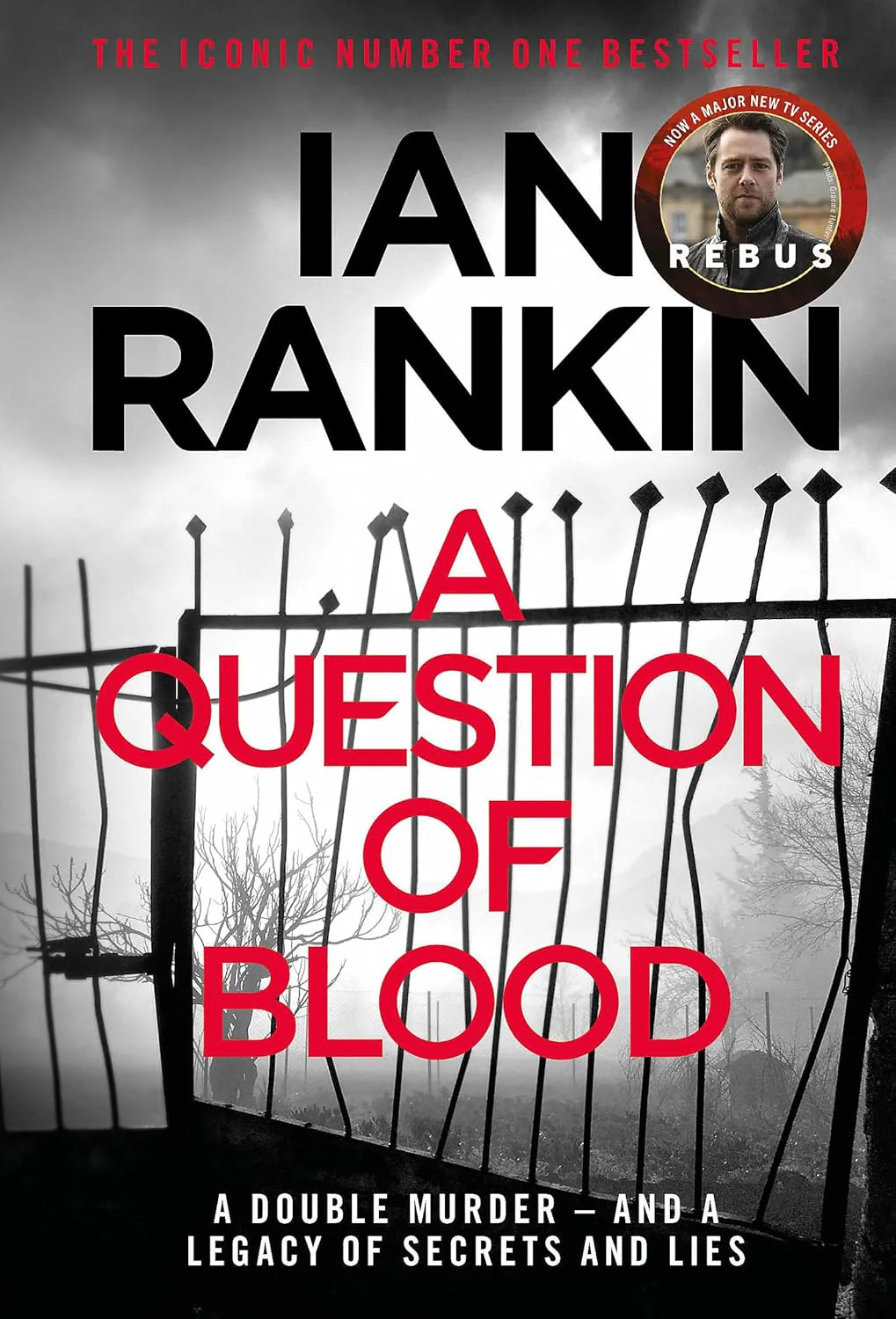 A Question of Blood: The number one bestselling series that inspired BBC Oneās REBUS