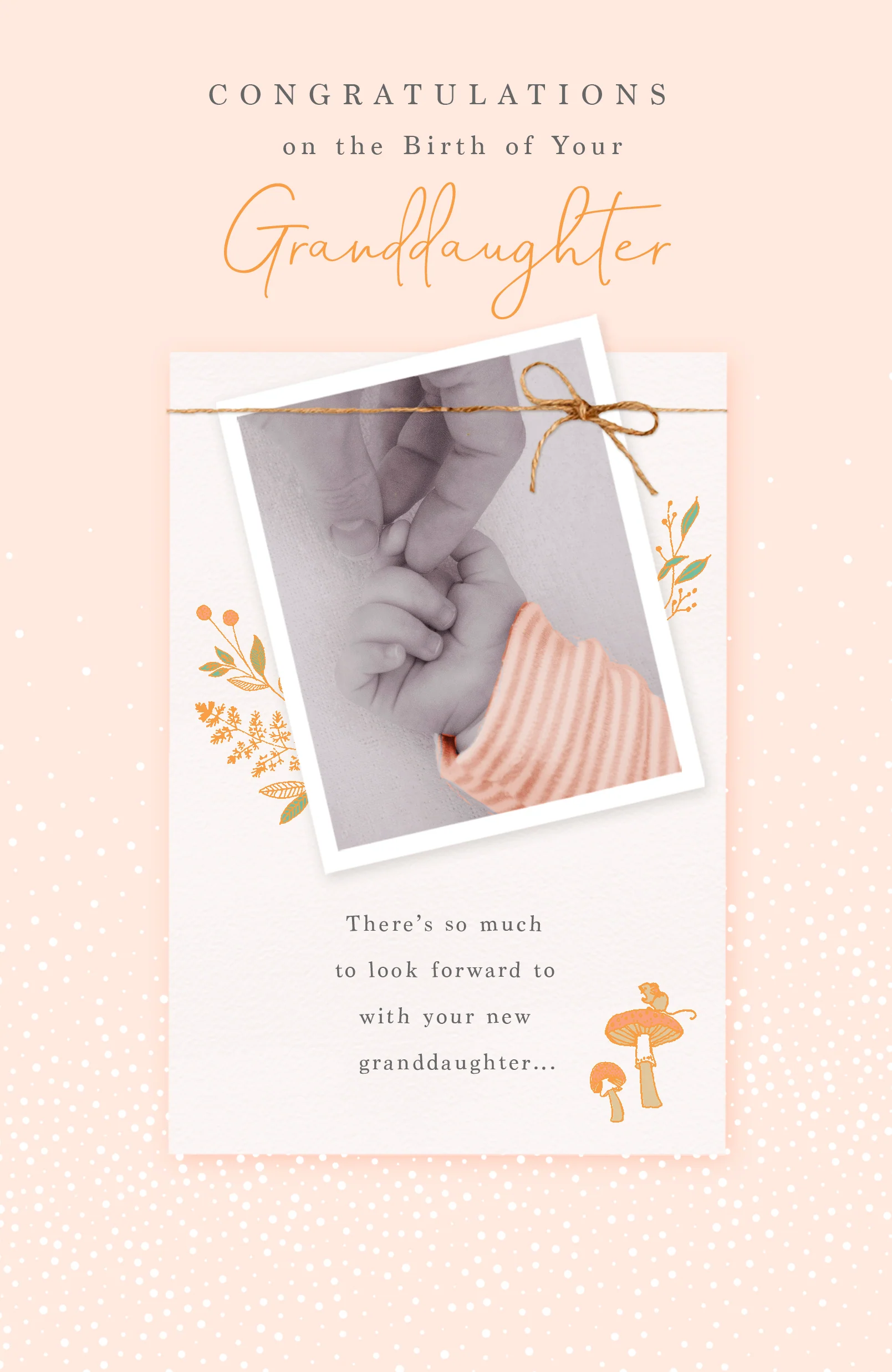 Birth Congratulations Granddaughter - Gibson