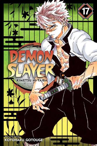 Demon Slayer: Kimetsu no Yaiba, Vol. 17: Successors: Volume 17