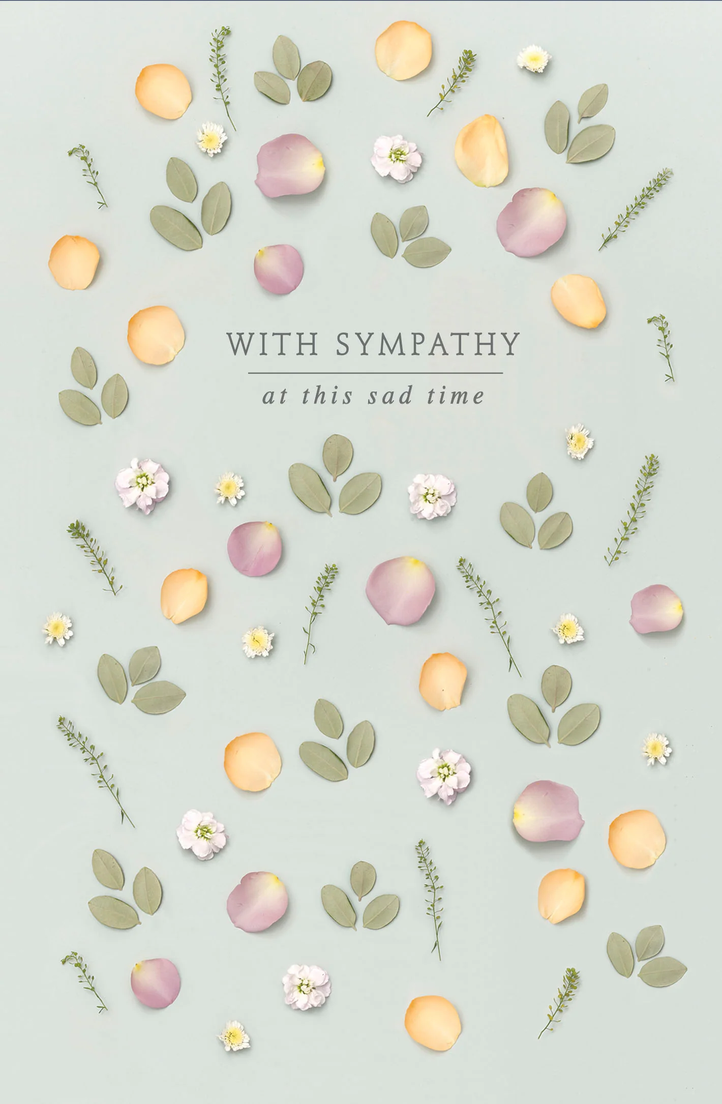Sympathy - Gibson