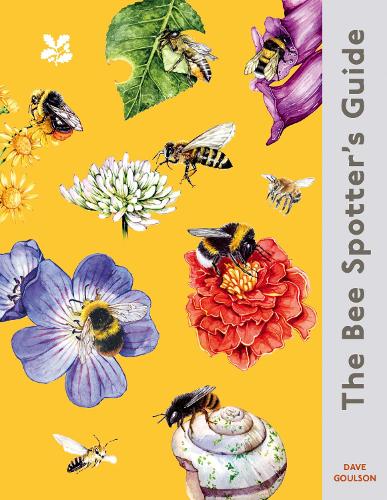 The Bee Spotterās Guide: Discover Britainās bees with this beautifully illustrated little guide by Dave Goulson, the Sunday Times best-selling author of āThe Garden Jungleā. (National Trust)