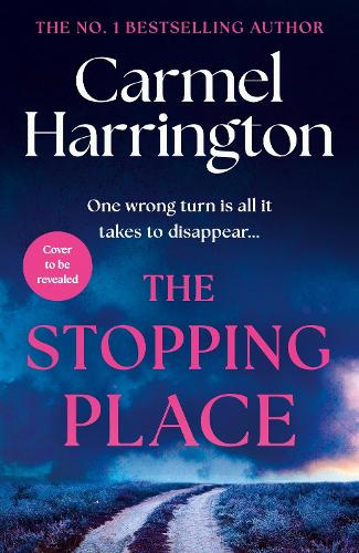 The Stopping Place - Image 2