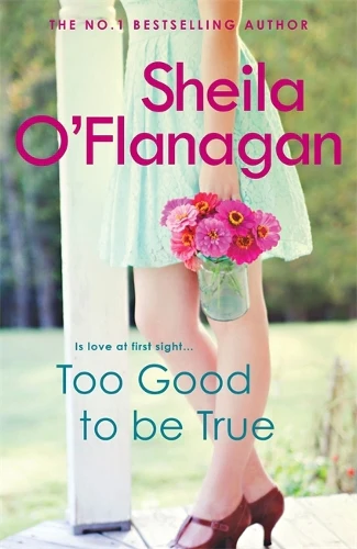 Too Good To Be True: Is it love at first sight? Or is she making a terrible mistake? - Image 2